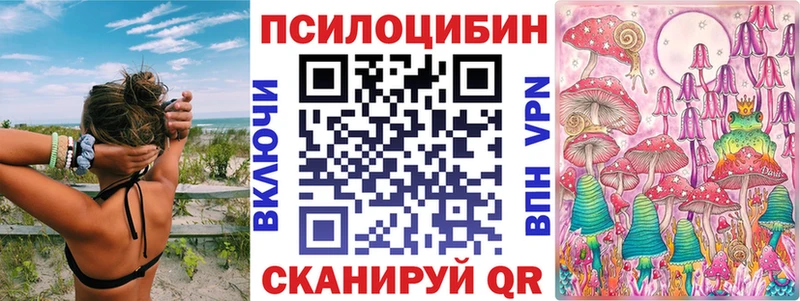 купить   OMG как зайти  Псилоцибиновые грибы мицелий  Изобильный 